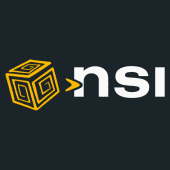NSI
